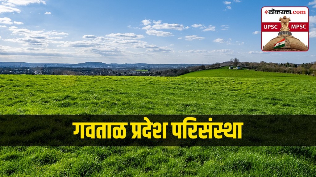 grassland ecosystem In Marathi