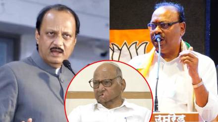 ajit pawar chandrashekhar bawankule ajit pawar chandrashekhar bawankule