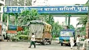 maharashtra government not appoint director in navi mumbai apmc market in last three years