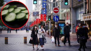 china shreded cucumber restaurant fined