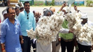 swabhimani farmers association threw cotton premises divisional commissioner office amravati
