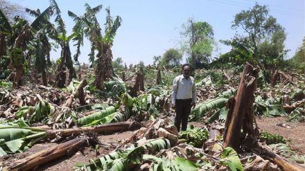damage due to stormy rains