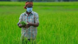 एमपीएससी मंत्र : राज्य सेवा मुख्य परीक्षा – कृषी घटक अभ्यासक्रम