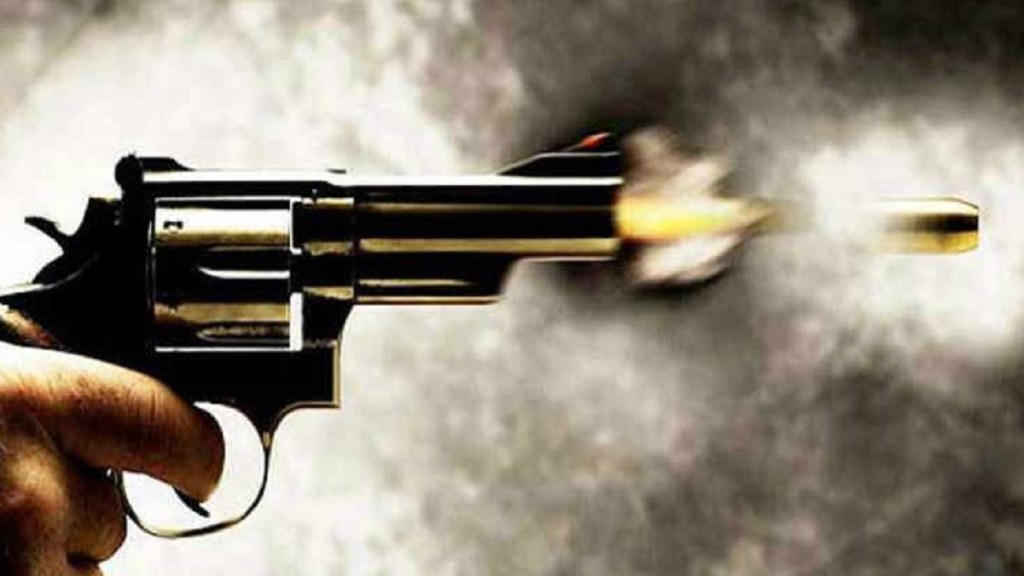 Gun seized youth dhule