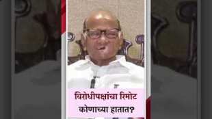 Who does Rahul Gandhi or Nitish Kumar Sharad Pawar prefer