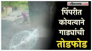 Pimpari Chinchwad: पिंपरी-चिंचवडमध्ये वाहन तोडफोडीचं सत्र सुरूच; घटना सीसीटीव्हीत कैद