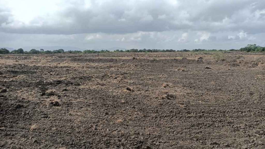 Farmers turn barren land to organic farm