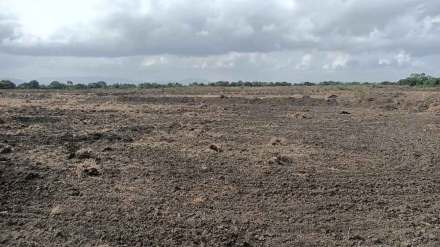 Farmers turn barren land to organic farm