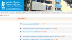 ​IBPS क्लार्क पदासाठी तब्बल ४ हजार जागांसाठीची भरती जाहीर, १ जुलैपासून करु शकता अर्ज, जाणून घ्या सविस्तर