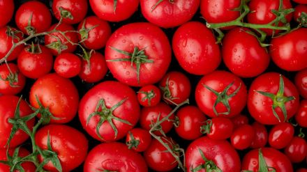 tomato prices rise upto rs 100 per kg tips and tricks alternative for tomatoes