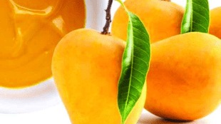 shortage mango pulp year pune