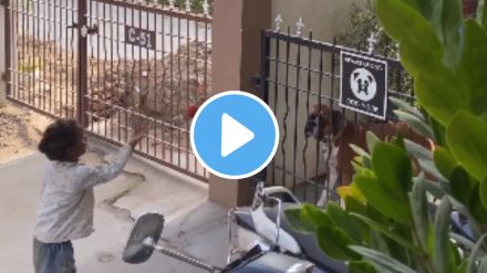 a homeless girl friendship with pet dog heart touching video goes viral a homeless girl friendship with pet dog heart touching video goes viral
