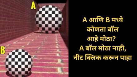 optical illusion which ball is bigger between a and b puzzle photo goes viral