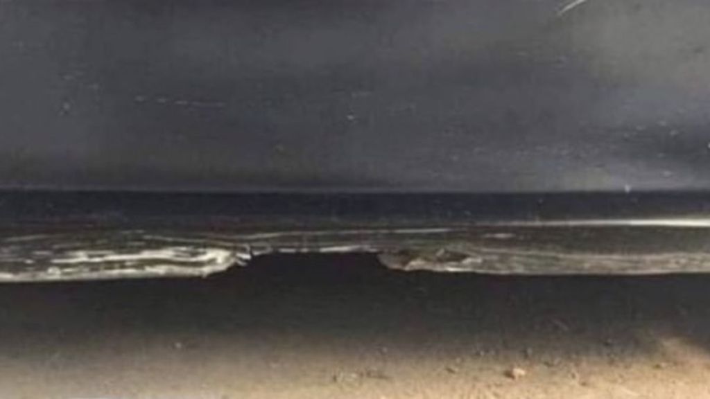 optical illusion of beach or something else photo goes viral optical illusion of beach or something else photo goes viral