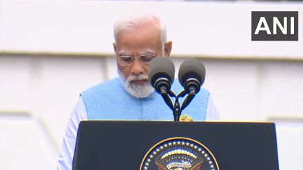 pm narendra modi pm narendra modi