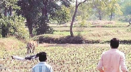 Chandrapur, money, sanctioned, villages near forest;, Former Minister , Shobha Fadnavis