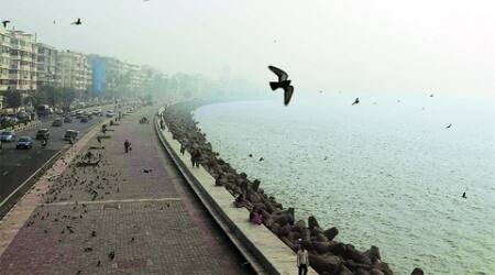 नव्वदच्या दशकात हे दगड मुंबईच्या मरीन ड्राईव्हवर आणण्यात आले होते. मरिन ड्राइव्हरील या टेट्रापॉडची एकूण संख्या साडेसहा हजारहून अधिक आहे. (फोटो सौजन्य : संग्रहित छायाचित्र)