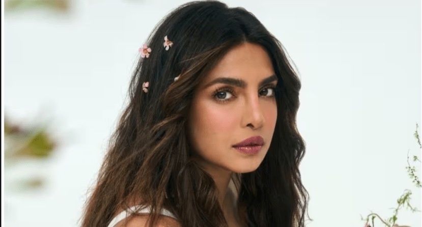 प्रियांका एका बॉलीवूड चित्रपटासाठी १२ कोटी रुपये, तर हॉलिवूड वेब सीरिजच्या एका एपिसोडसाठी ती २ कोटी रुपये घेते.