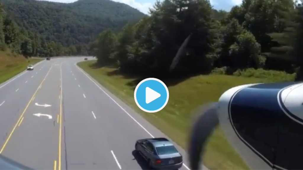Video Emergency Landing of Plane on Highway as Pilots Father In Law Got Scared Of Engine Failure Watch