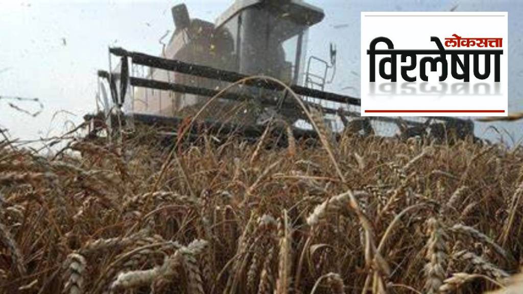 News About Grain Deal
