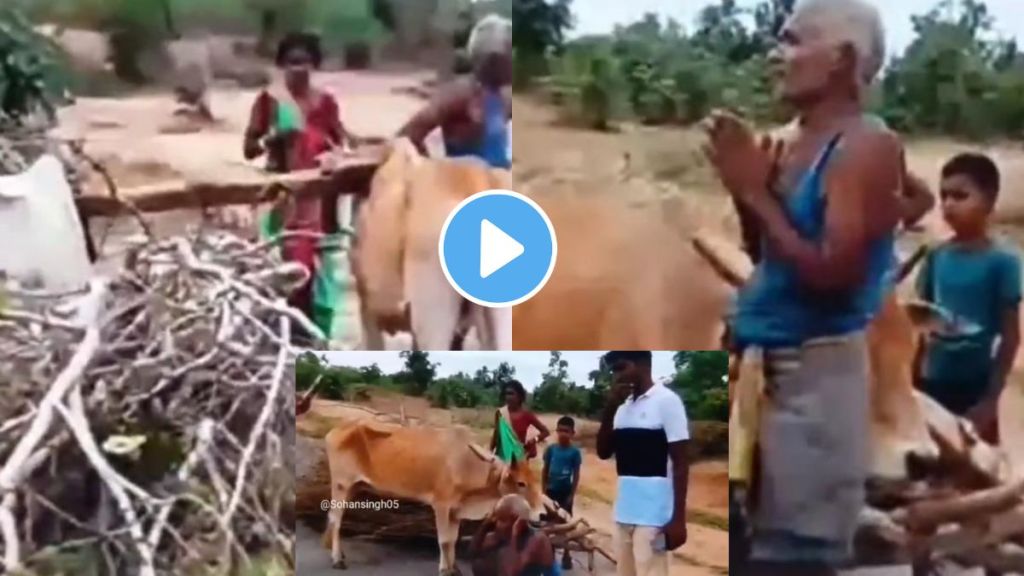 Farmer Trending video