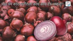 १०० ग्रॅम कांदा शरीराला काय काय देऊ शकतो? कोणी खावा, कोणी टाळावा, नेमकी माहिती इथे वाचा