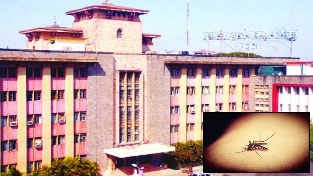 Pune mnc dengue, pune dengue