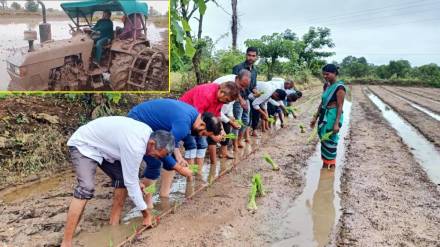 Nagpur District Collector planted rice