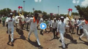 maharashtra bendur 2023 farmers celebreated bendur festival significance of maharashtra bendur festival in marathi