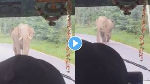 Elephant charged towards bus full of passengers. Then, this happened video viral on social media