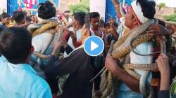 अबब! गळ्यात आणि हातावर विषारी साप घेत तरुणाची जीवघेणी स्टंटबाजी; अंगावर काटा आणणारा Video व्हायरल