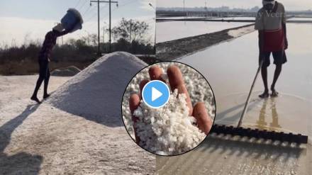 How Do You Make Salt Natural Salt Making with Sea Water