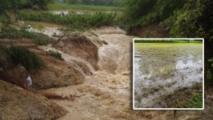 The right canal of Gosekhurd burst due to heavy rain