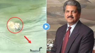 Anand Mahindra Shared Inspirational Video