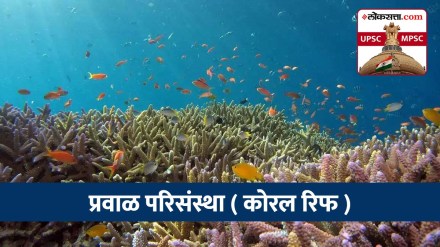 Coral Reefs In Marathi Coral Reefs In Marathi