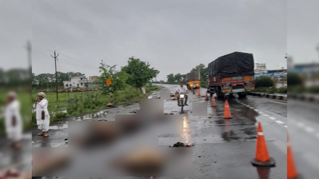 sheeps crushed Nagpur district