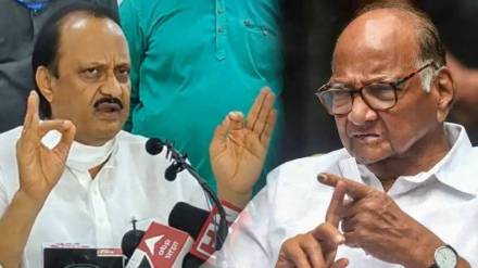 What Ajit Pawar Said?