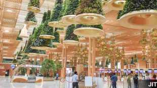 bamboo now used in construction of airports metro stations buildings