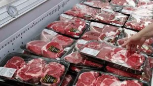 beef meat