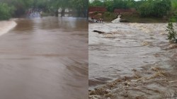 पालघर जिल्ह्यात अतिवृष्टीमुळे नद्यांना महापूर, पुल पाण्याखाली गेल्याने अनेक गावांचा संपर्क तुटला