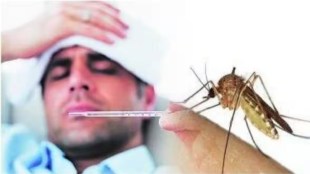 dengue