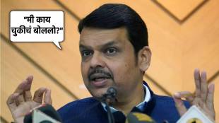 devendra fadnavis ani podcast