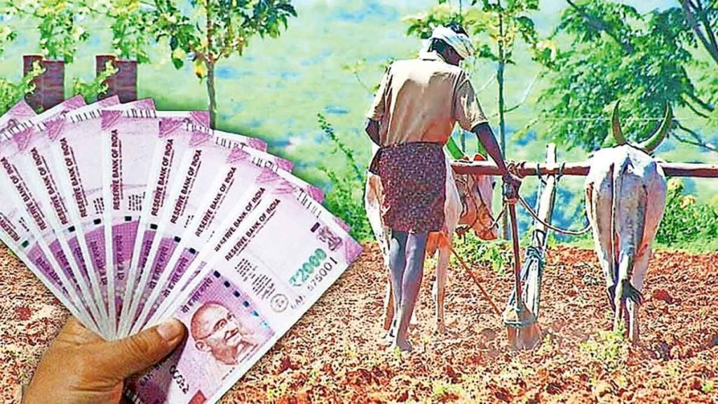 farmer money career