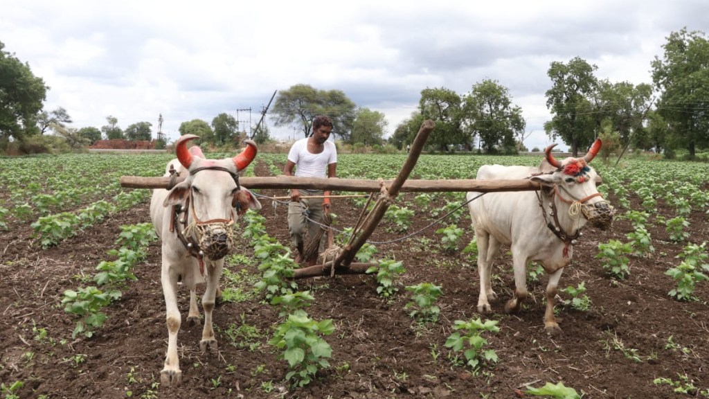 farming