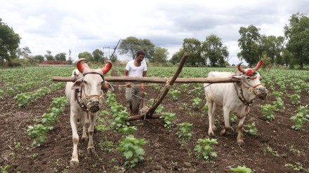 farming