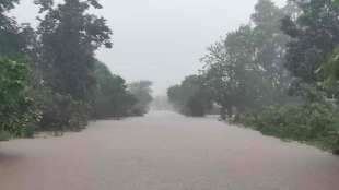 rain in maharashtra flood like situation in gadchiroli district after heavy rain