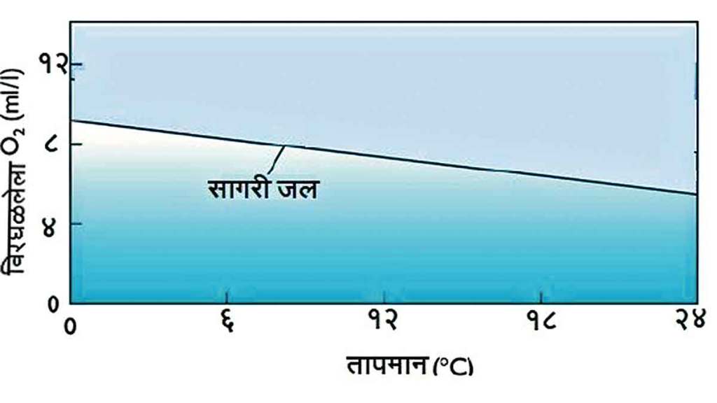 dissolved gases in seawater dissolved gases in seawater