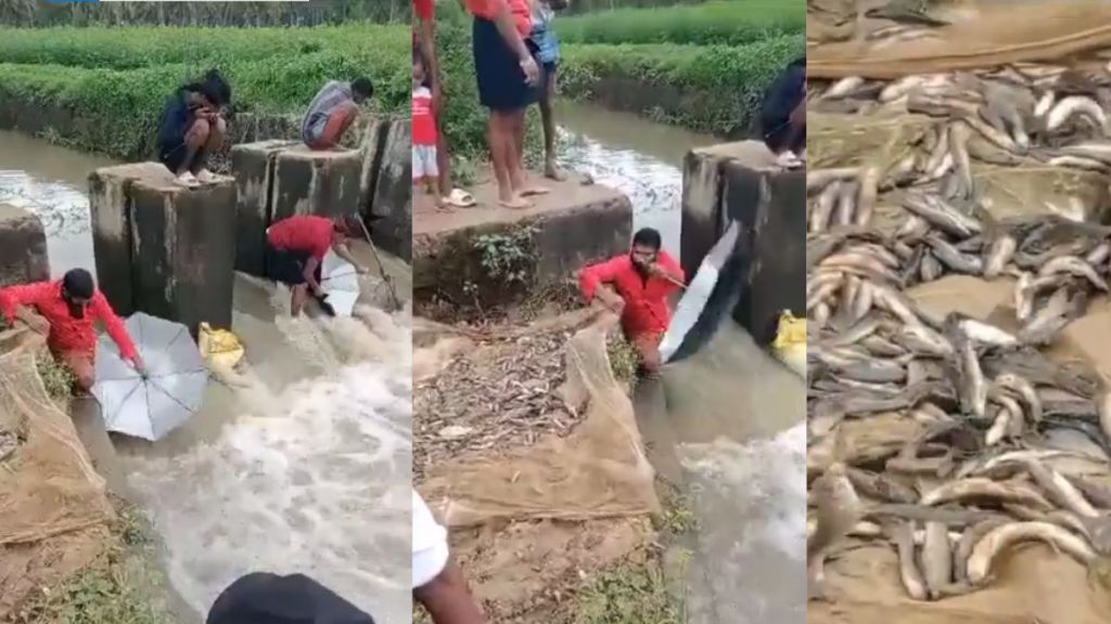 desi jugaad for fishing by using umbrella video viral desi jugaad for fishing by using umbrella video viral