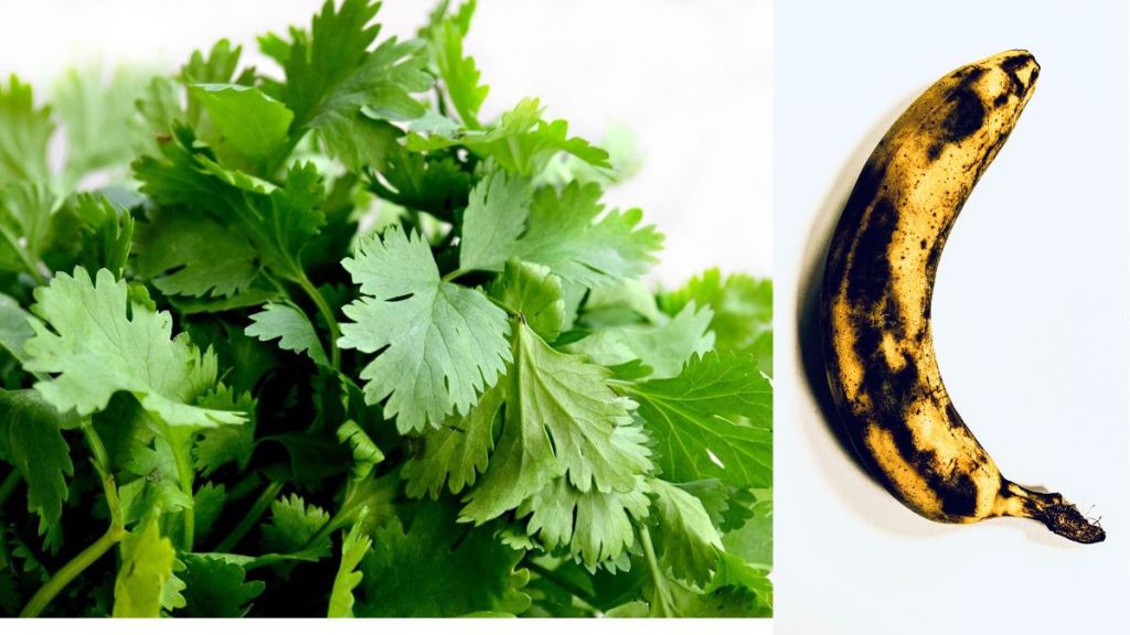 How To Store Food How To Store Food