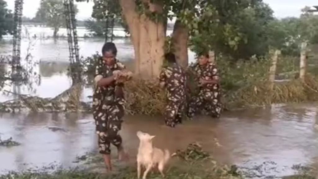 Andhra police rescue puppies stranded in flood, reunite them with the mother Andhra police rescue puppies stranded in flood, reunite them with the mother